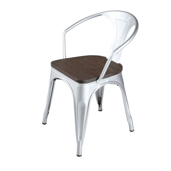 Garden Chairs - Dark wood chair and gleaming silver iron