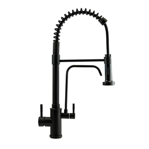 Faucet with water purifier tap