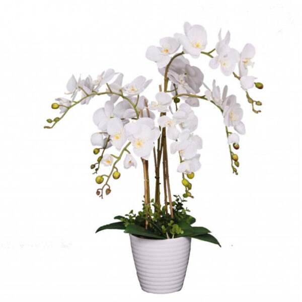 زهرة الأوركيد الصناعي بيضاء اللون بوعاء أبيض 75 سم
